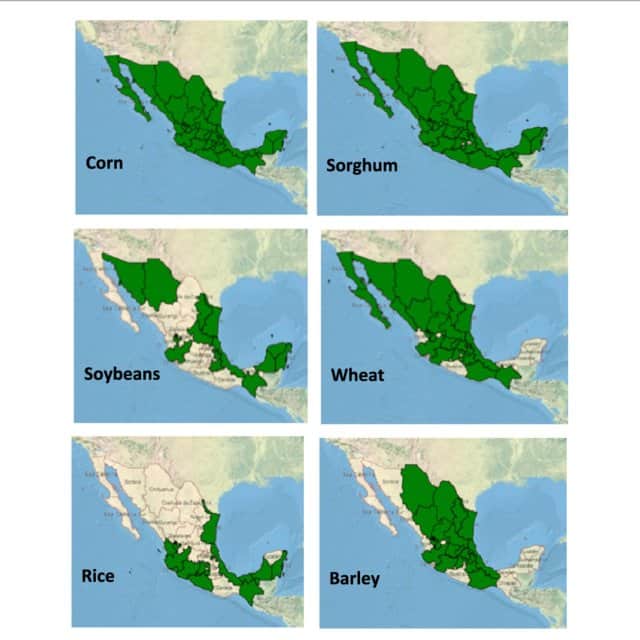 Mexico top agricultural countries