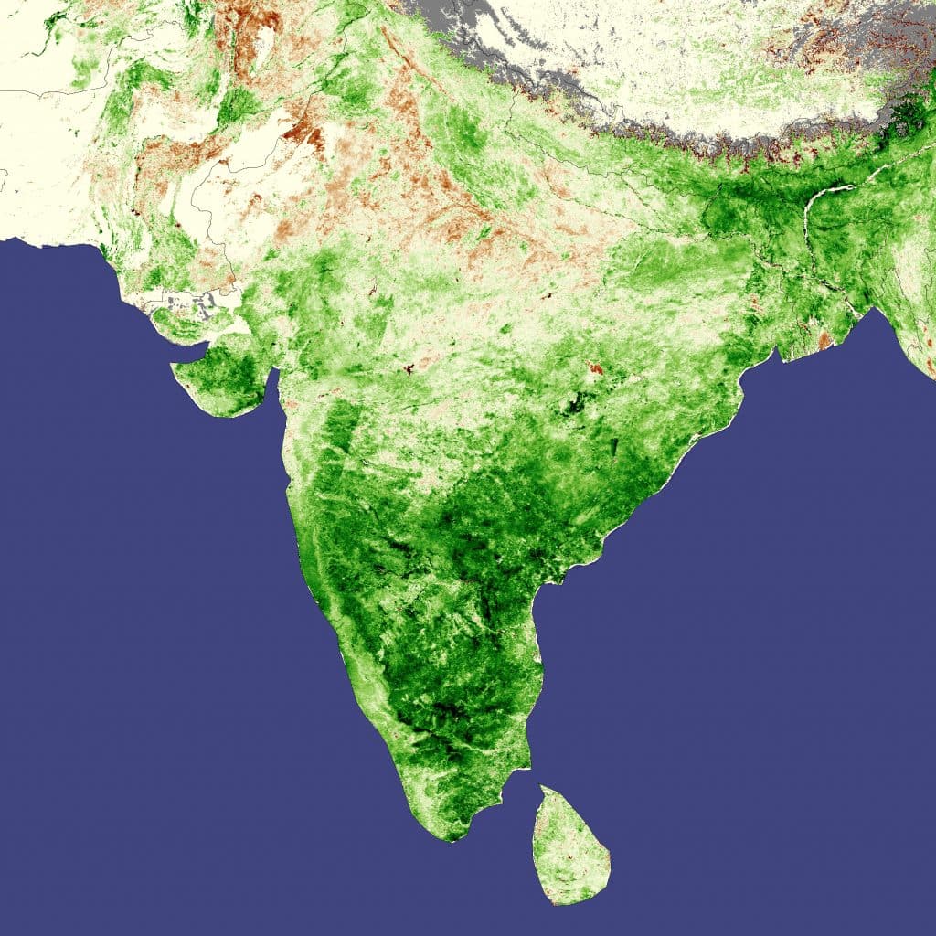India top agricultural countries