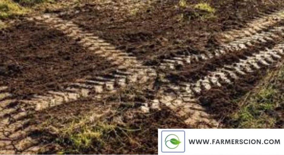 Clay Soil for Agriculture- Farmer Scion