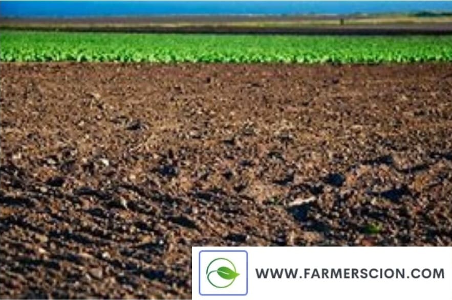 Loam Soil for Agriculture- Farmer Scion