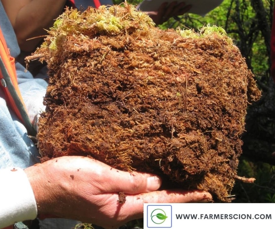 Peat Soil for Agriculture- Farmer Scion