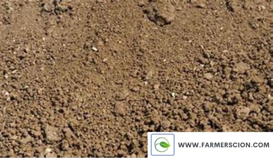 Silt Soil for Agriculture- Farmer Scion
