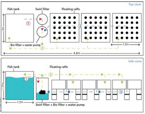 AQUAPONICS DESIGN | Farmer Scion