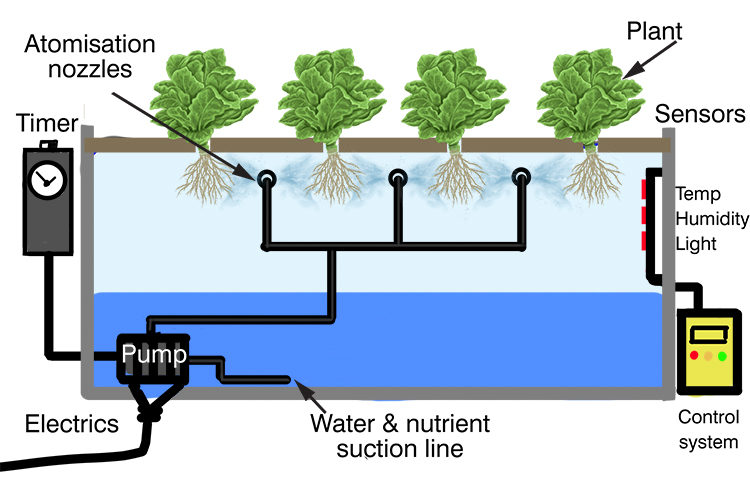 Aeroponic System | Farmer Scion