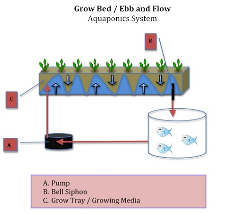 Ebb and Flow / Grow Bed | Farmer Scion