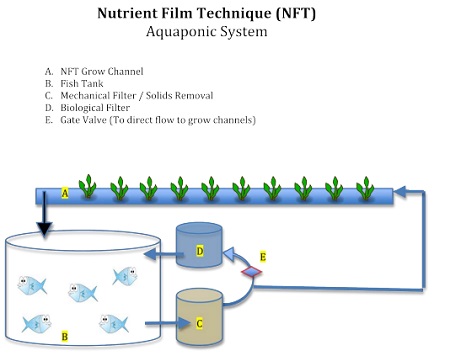 Nutrient Film Technique (NFT) Aquaponics Systems | Farmer Scion