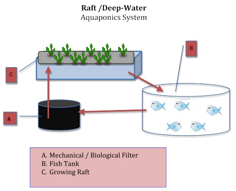 Raft or Deep Water Culture (DWC) Aquaponics Systems
