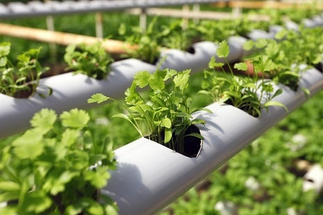 Overview of Hydroponic Systems & Farming -