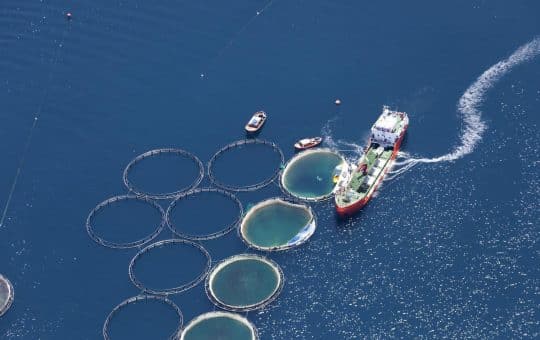 Cage Or Pen Pond Fish Farming