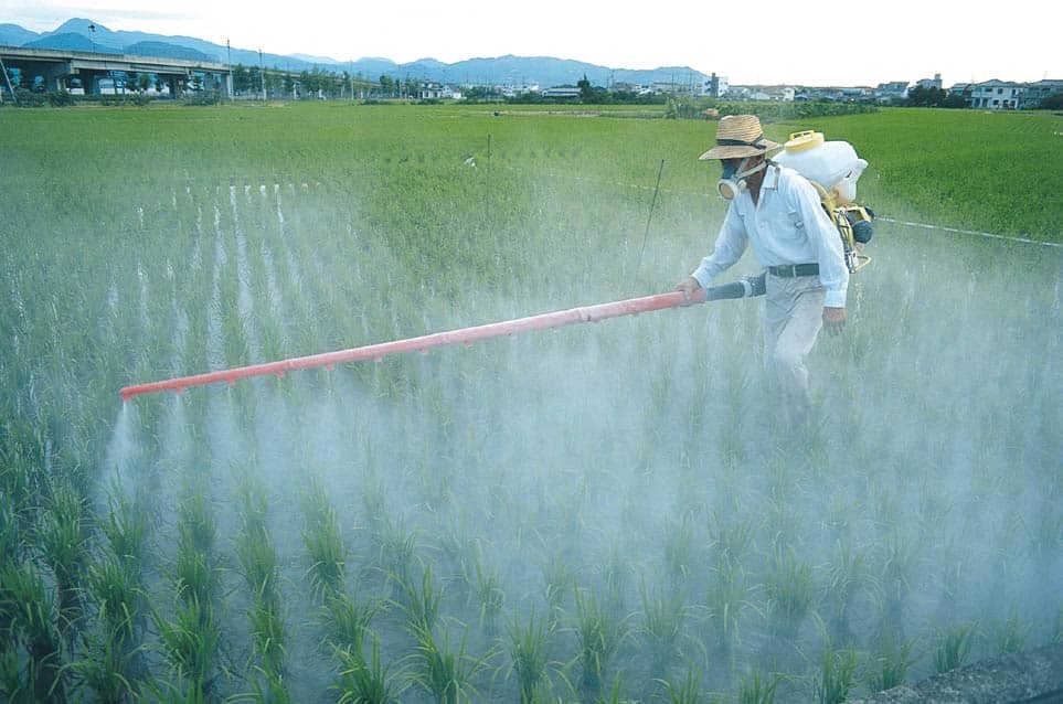 Fertilization and Pest Control agriculture