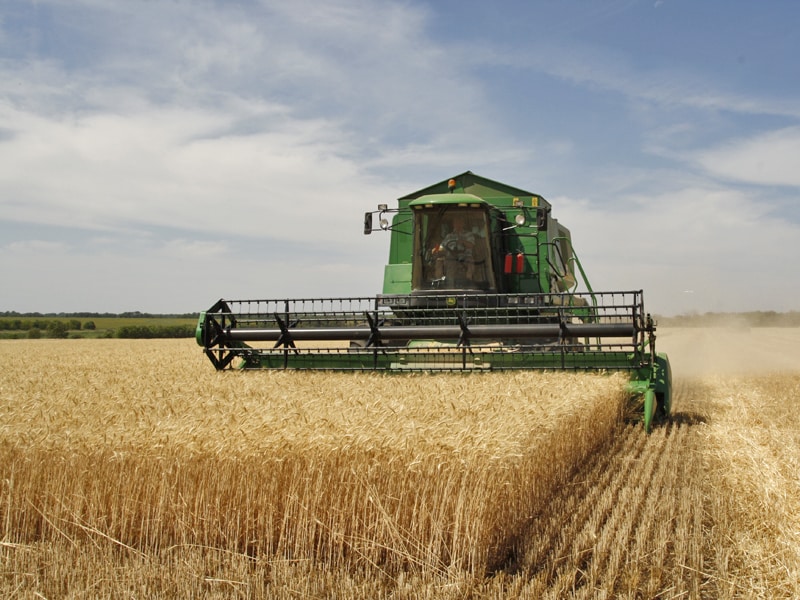 Harvesting and Post-harvesting