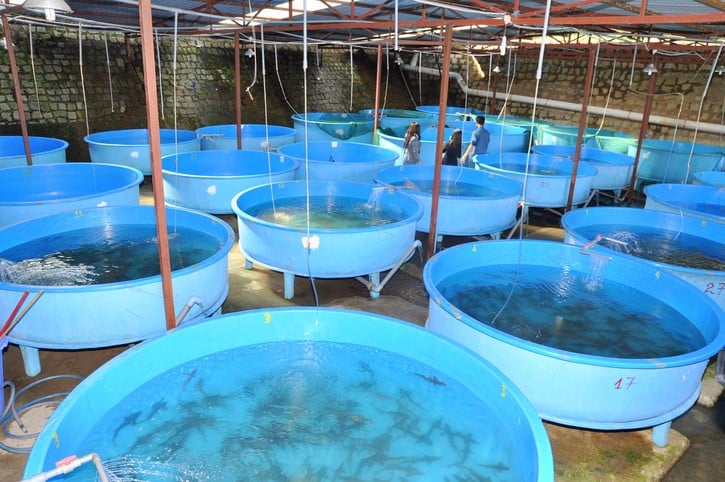 Plastic Or Rubber Pond fish farming