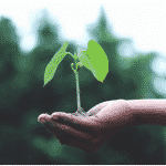 Overview of Seed Technology | Farmer Scion